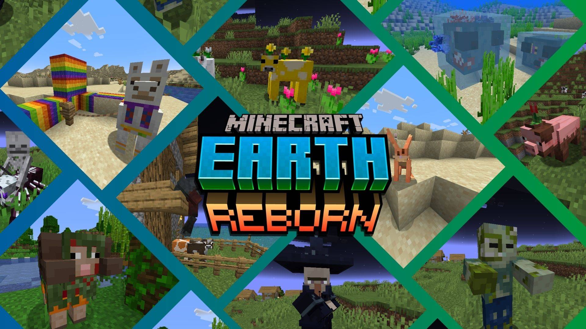 MER banner