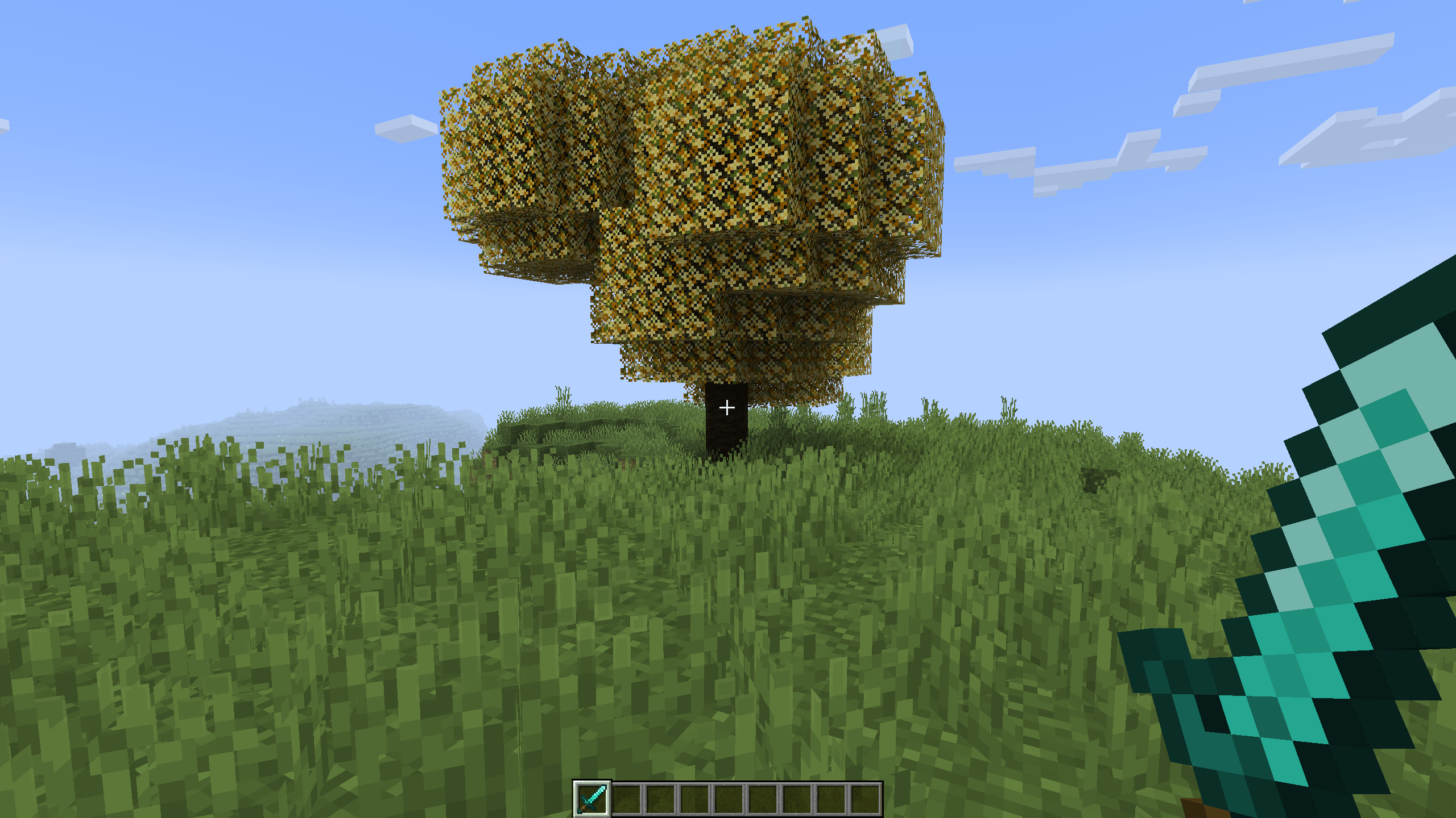 before.png