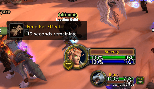 BeastCare-Feed-pet-effect.png