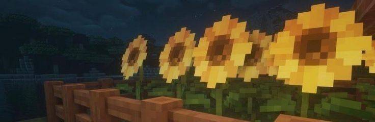 with shaders