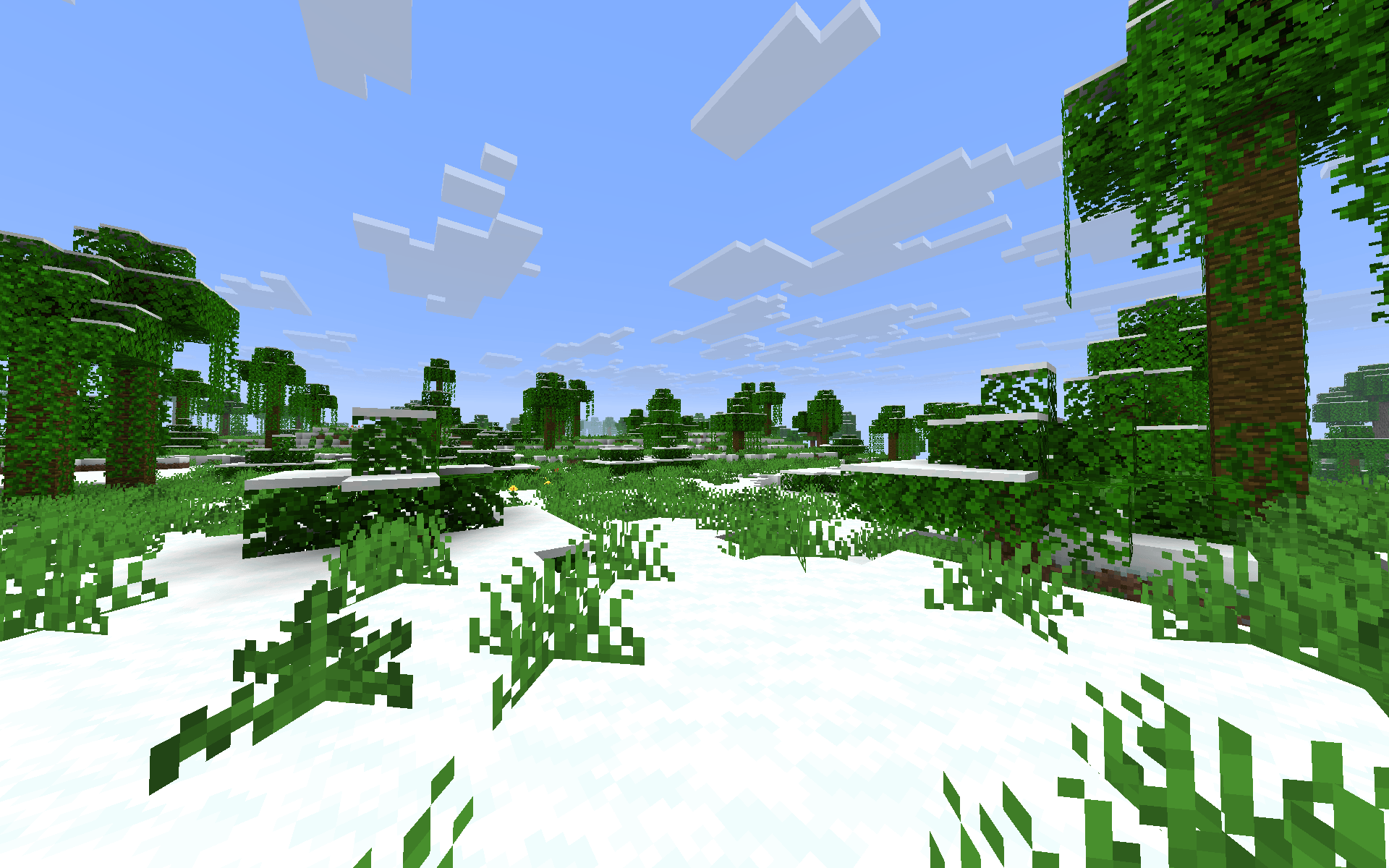 Jungle