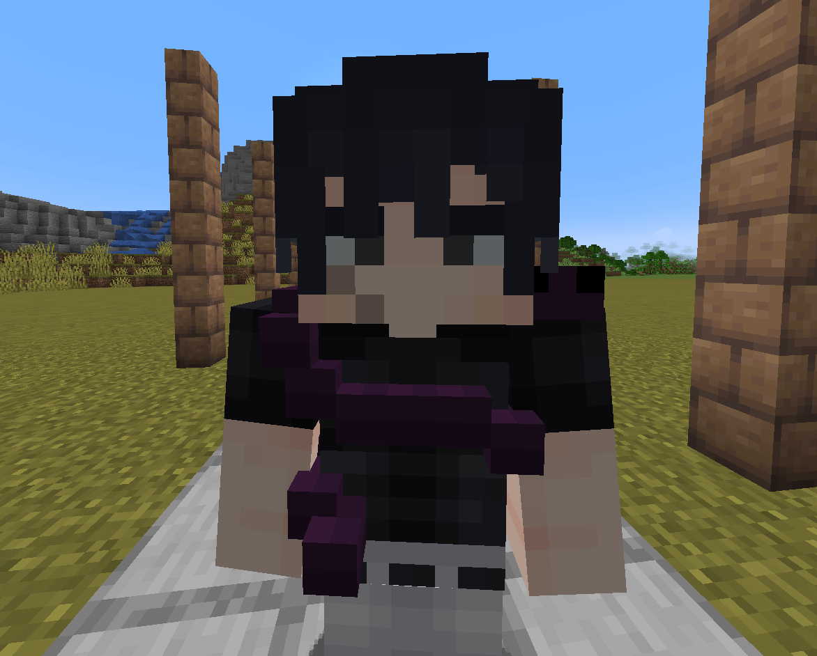toji in minecraft.png