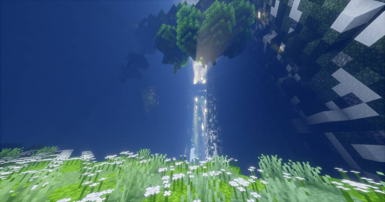 upside down tree