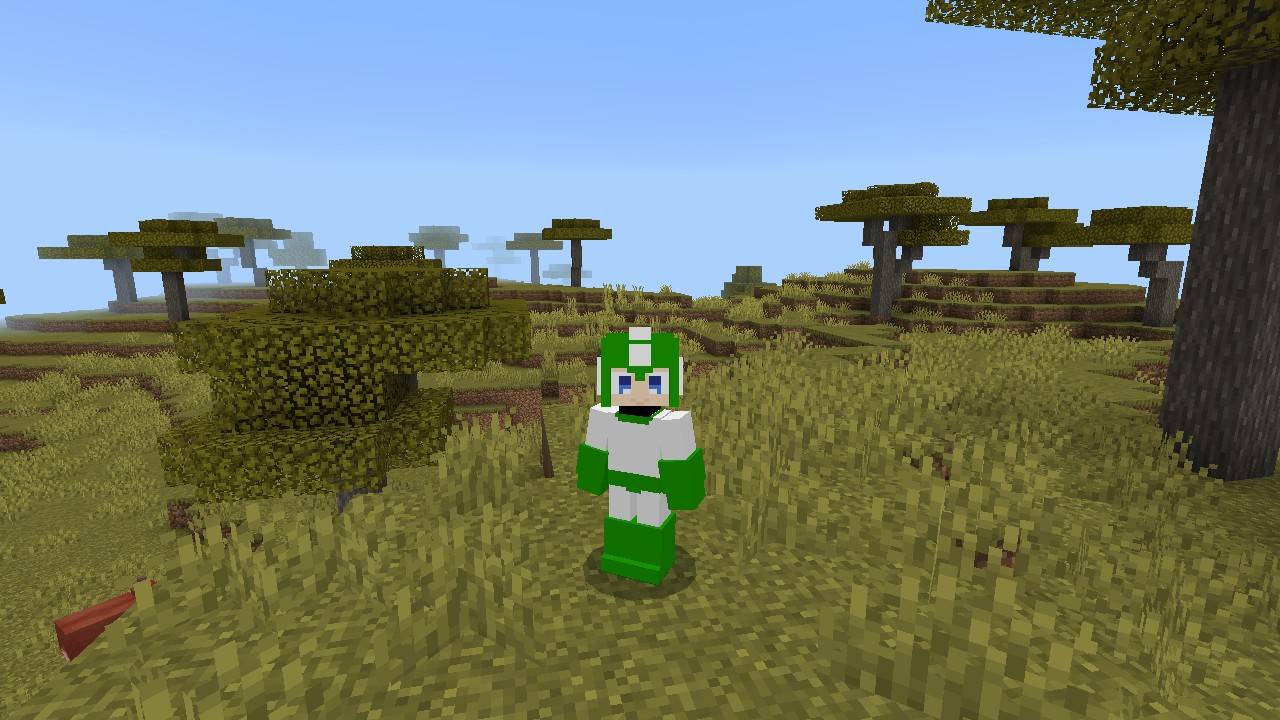 Megaman 4d Skin thumbnail 3