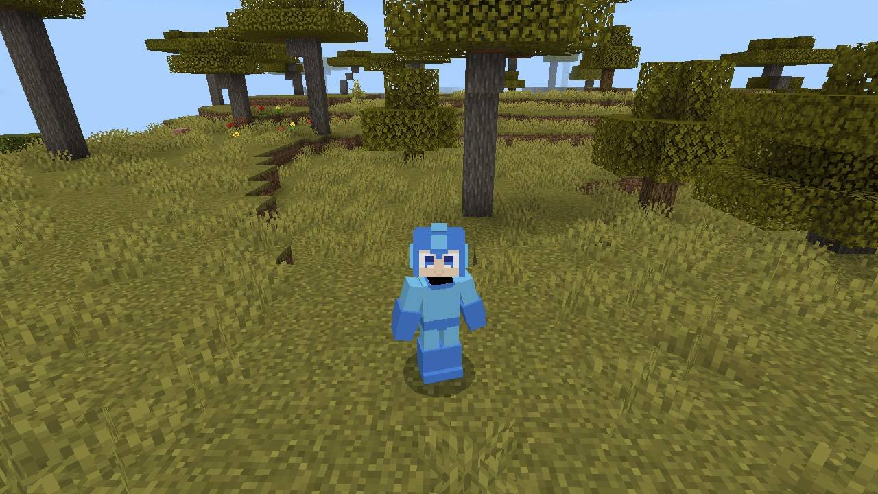 Megaman 4d Skin screenshot active