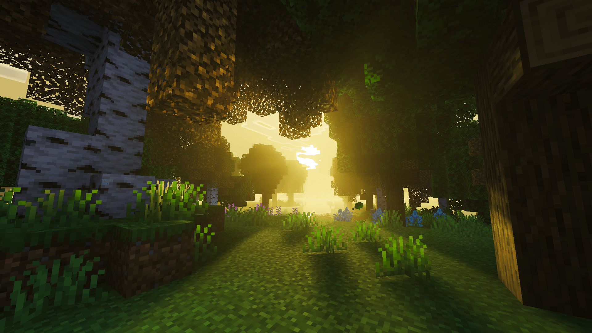 Solscape Shaders thumbnail 7