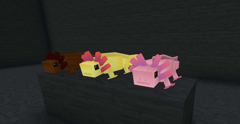 3 axolotls.png