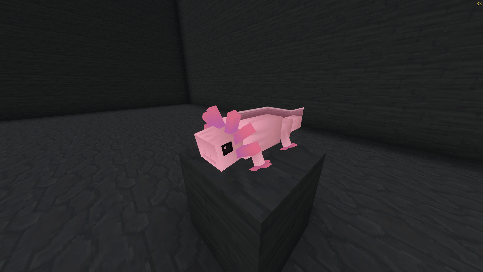 Single Axolotl.png