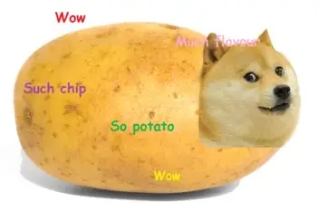 OIP.webp