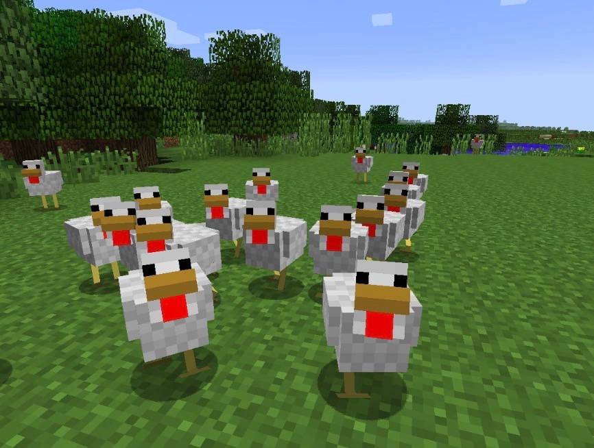 Chickens chickens chickens — screenshot 1