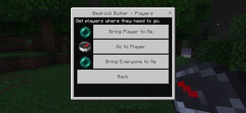 Bedrock Butler Core — screenshot 6