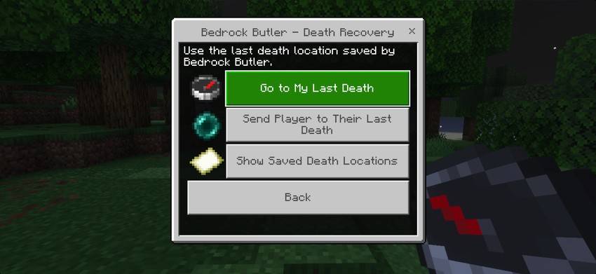Bedrock Butler Core — screenshot 7