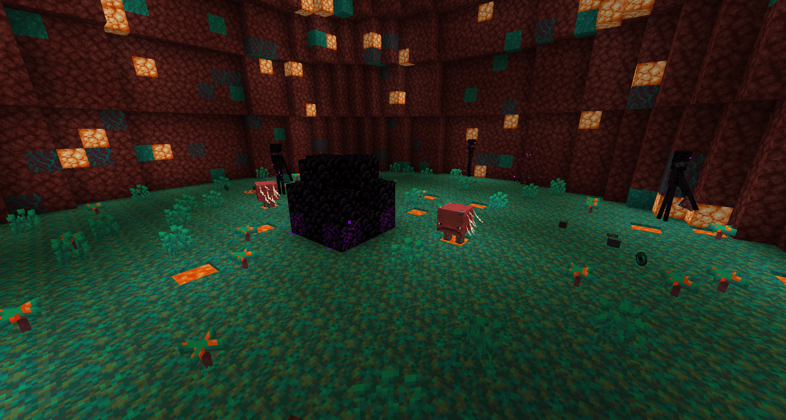 warped forest