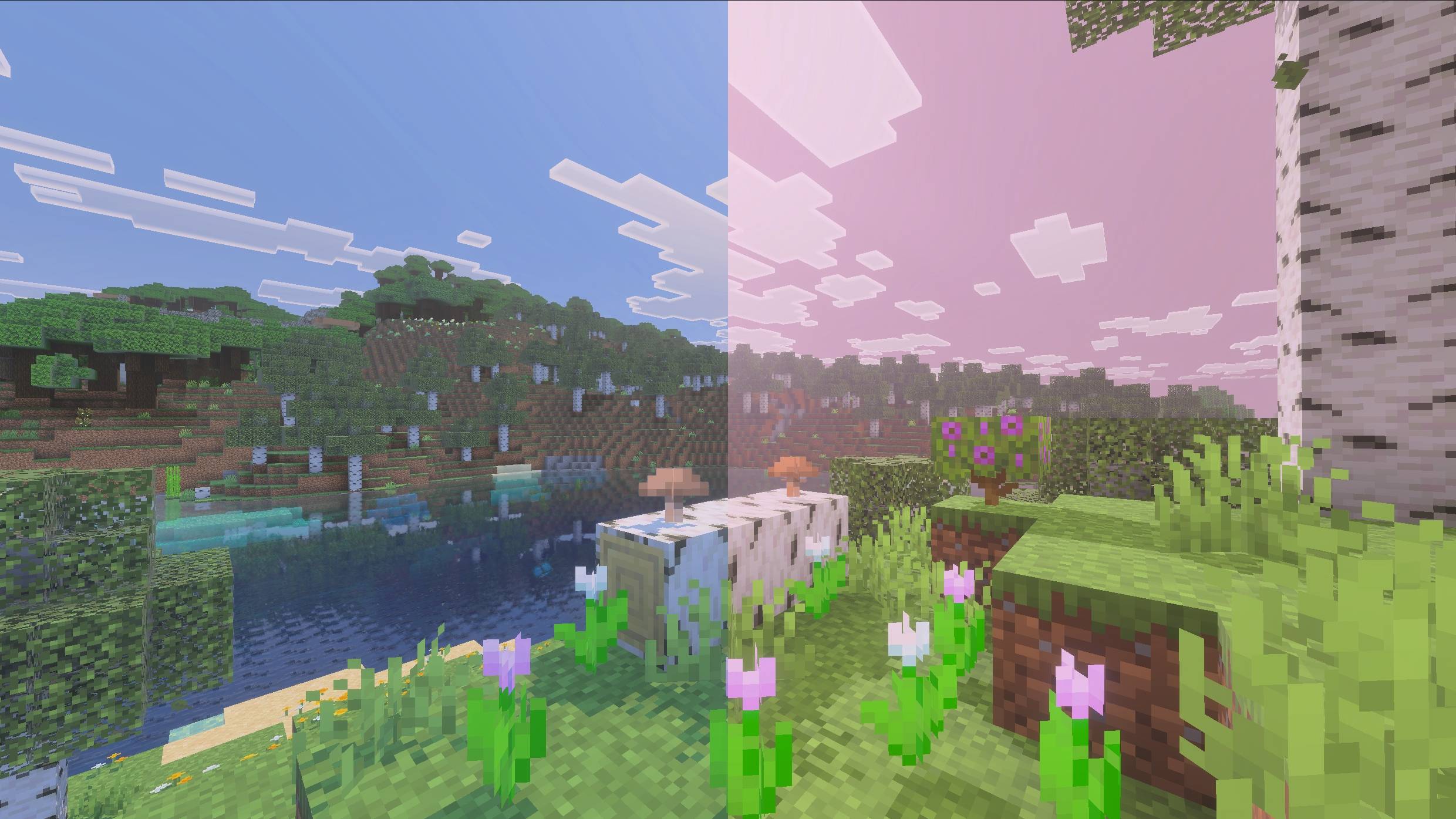 Comparison 1.jpg