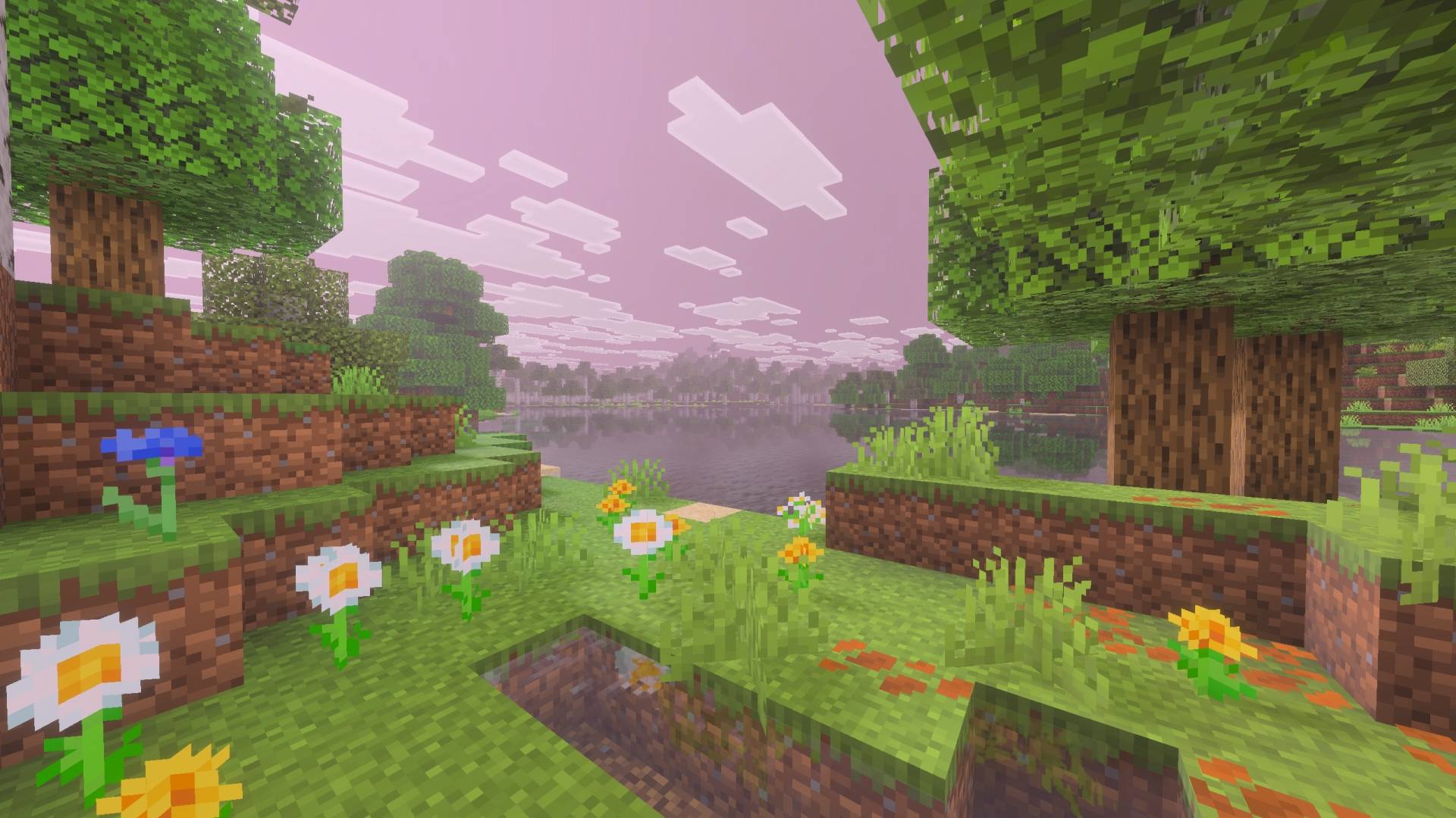 Sakura Visuals 2.jpg