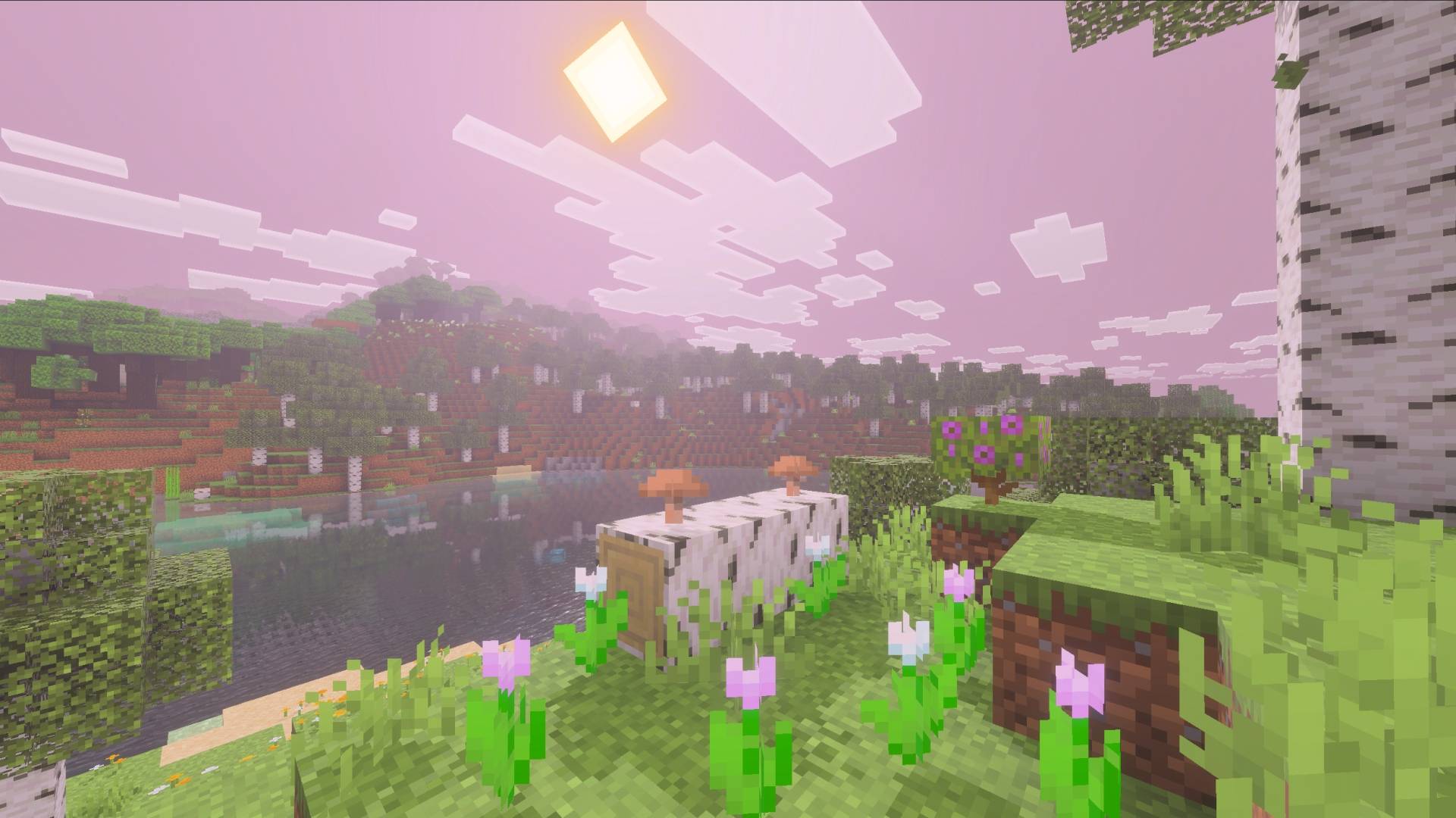 Sakura Visuals 1.jpg