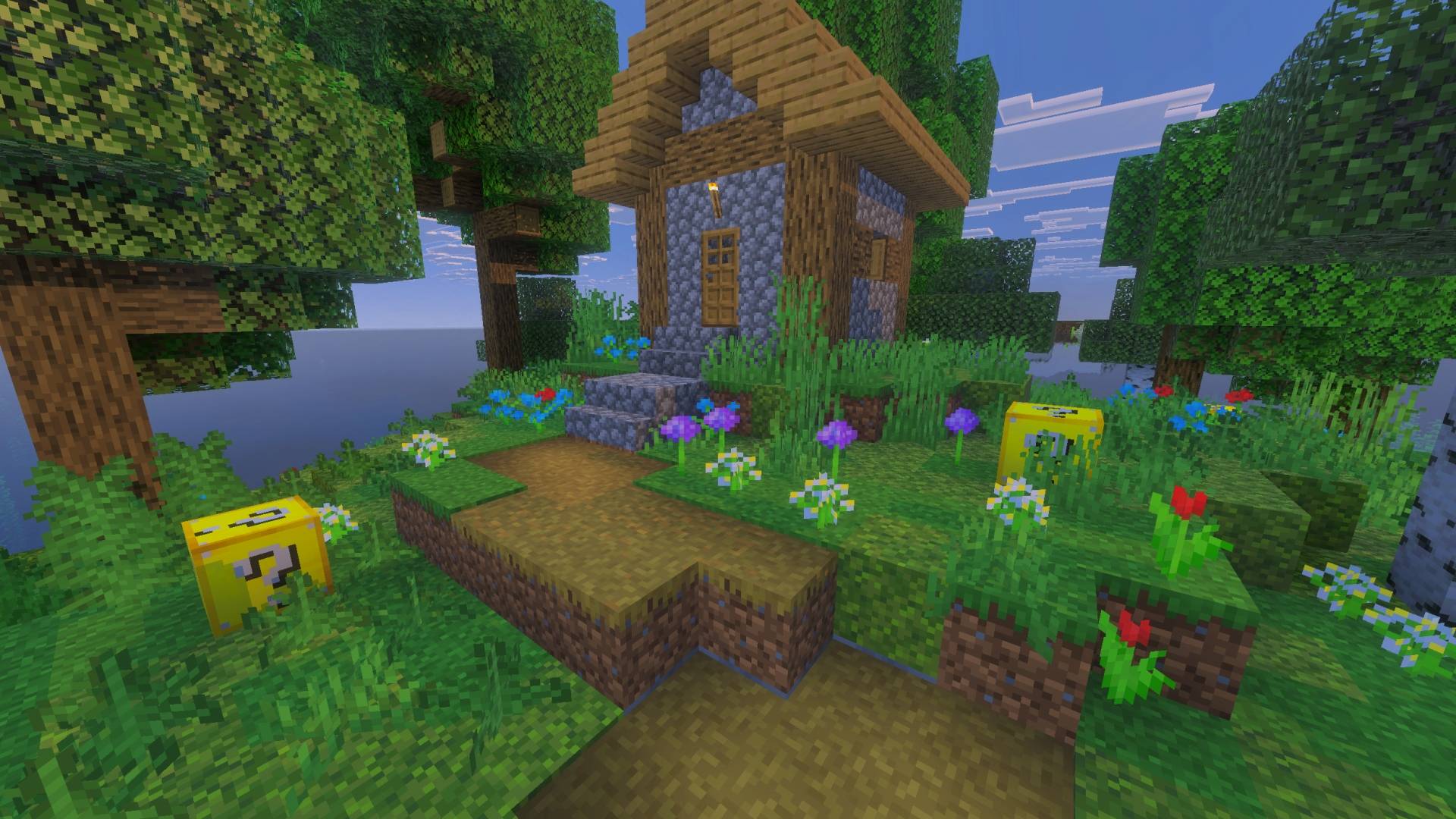lucky blocks 1.jpg