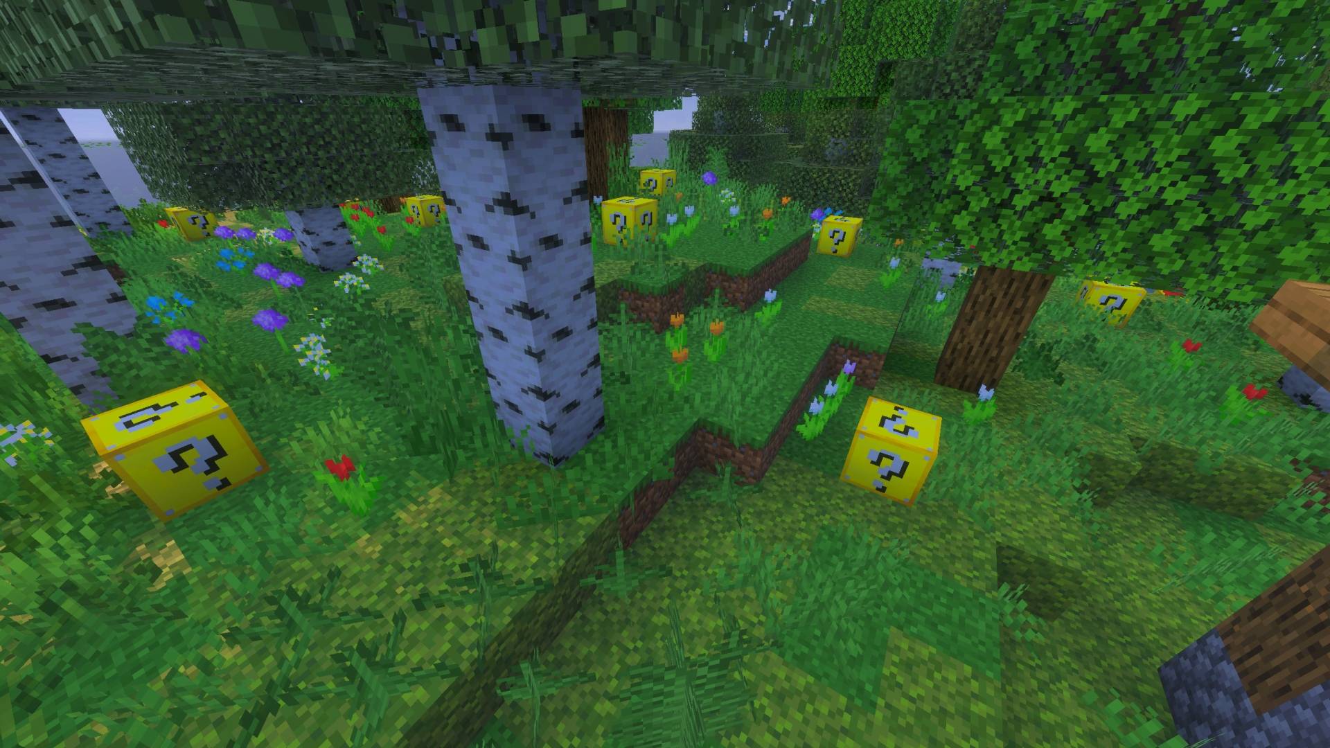 lucky blocks 4.jpg