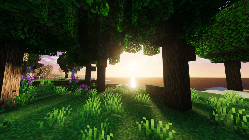ACD Shaders thumbnail 3