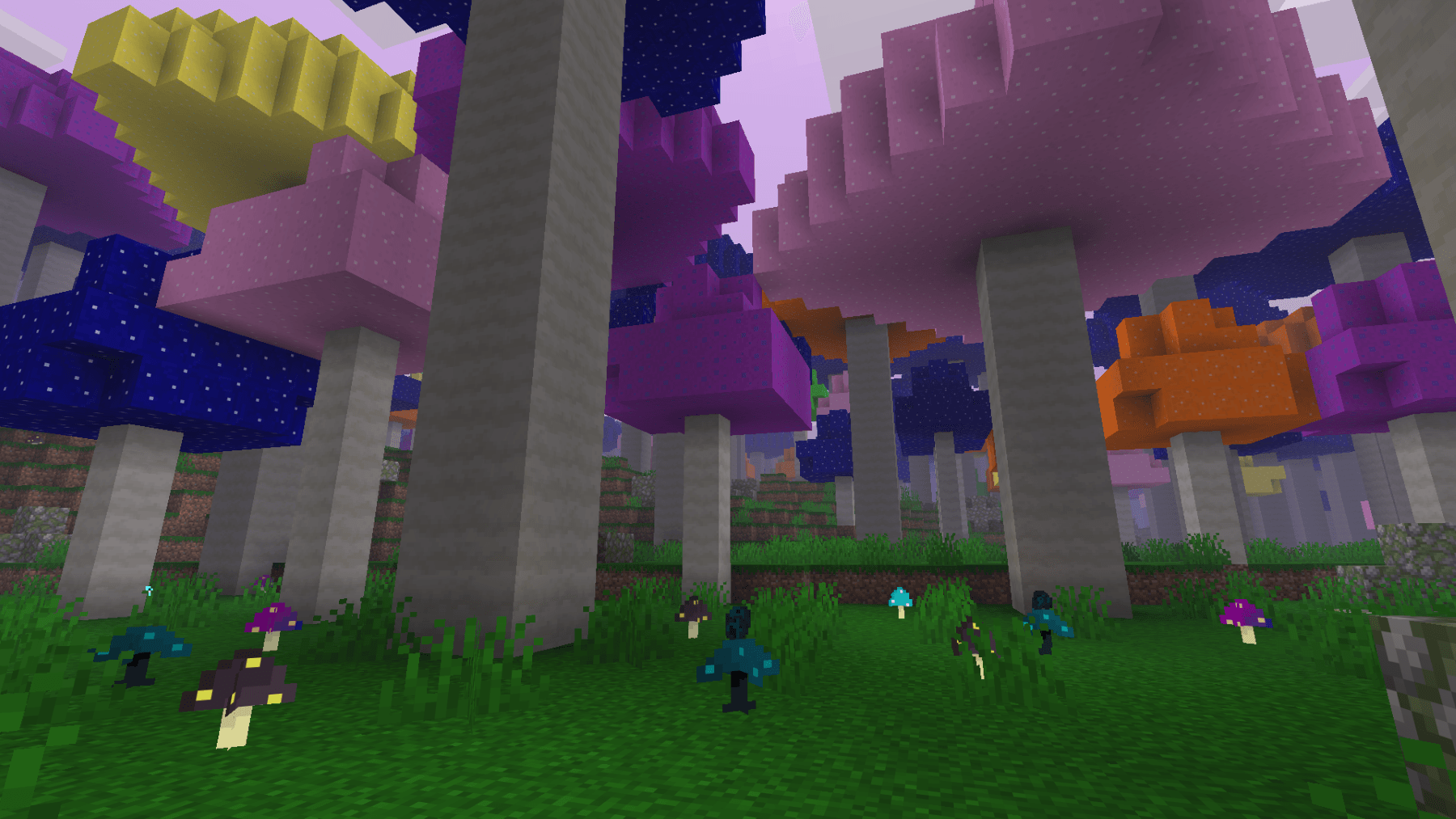pic3.png
