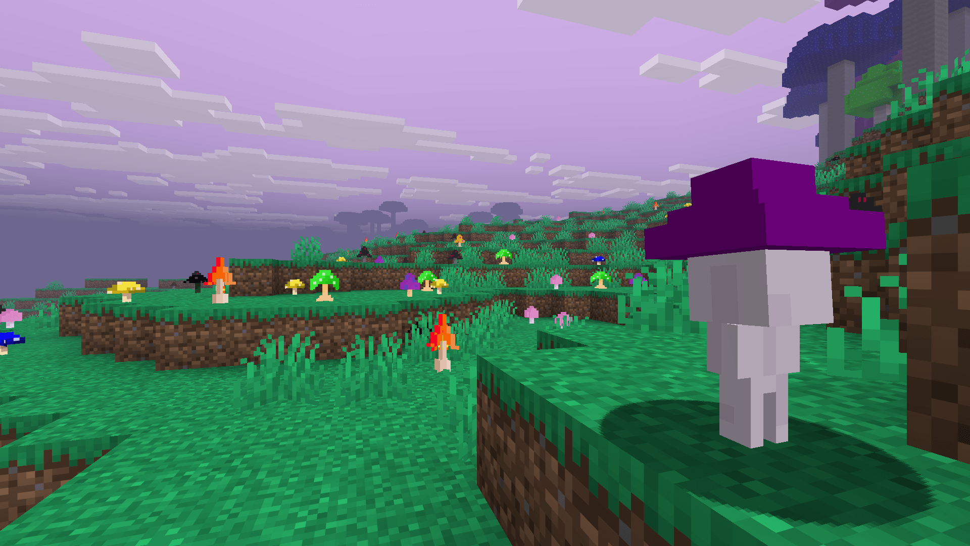 pic4.png