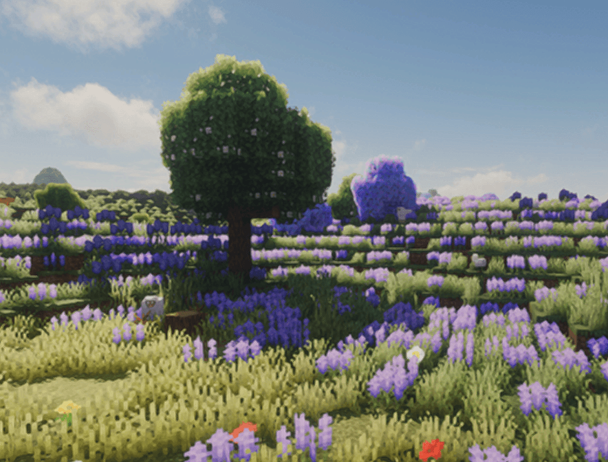 Screenshot 2026-08-06 223900.png