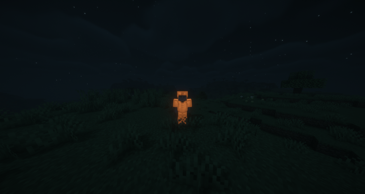 Shader