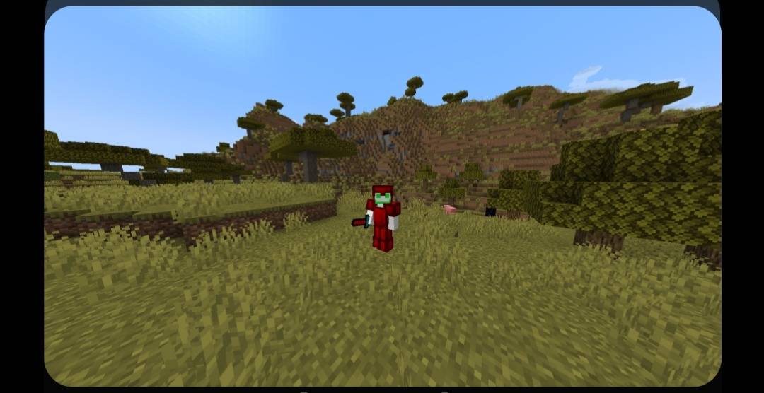 Screenshot_20260807_154152.jpg