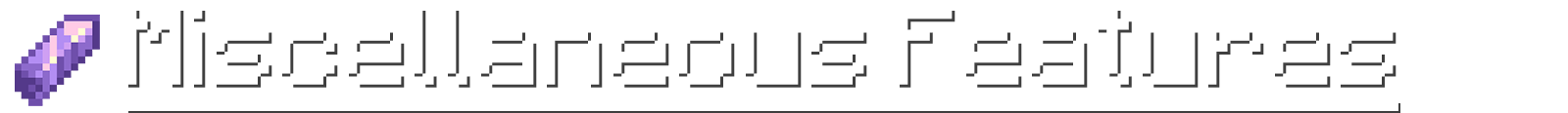 MISCELLANEOUS FEATURES