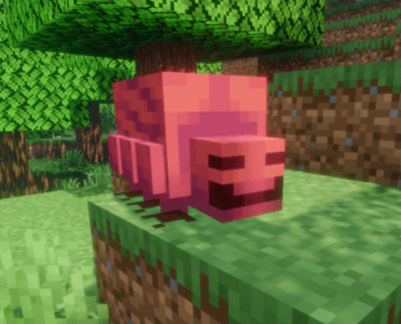 Thumbnail 2026-08-08_13h19_37.png