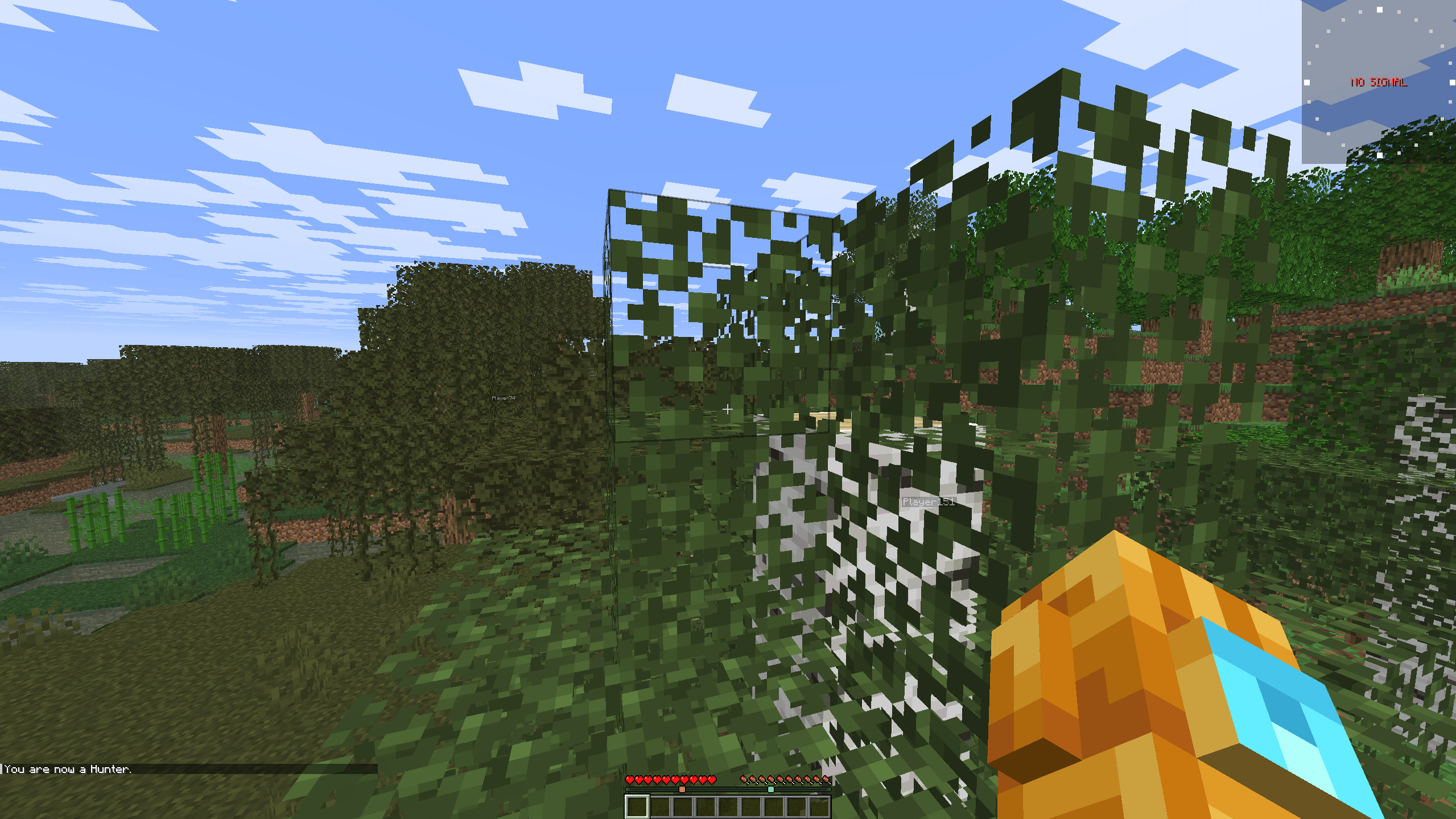 the compass when typing /hunted hunter