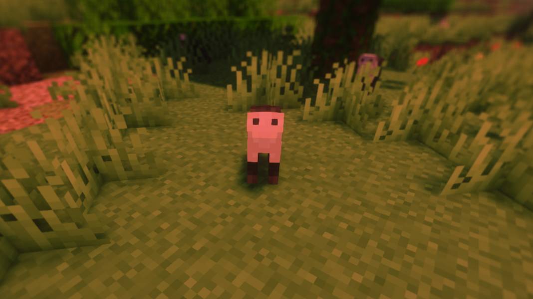 Minecraft Screenshot 2026.08.08 - 11.58.03.47.jpg