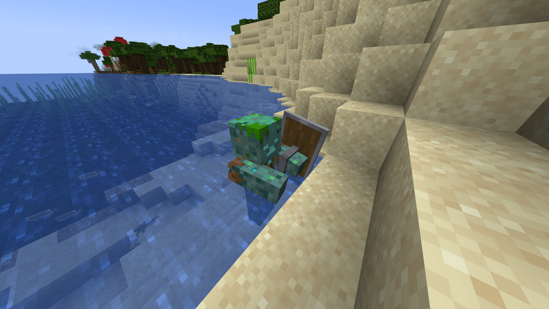 Drowned with a Shield