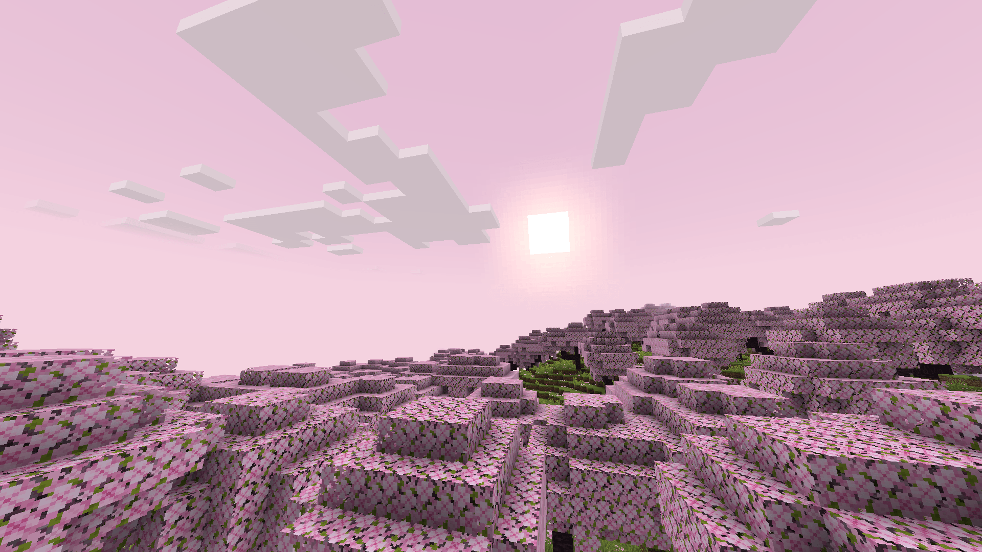 Here is what custom colors in the cherry blossom look like