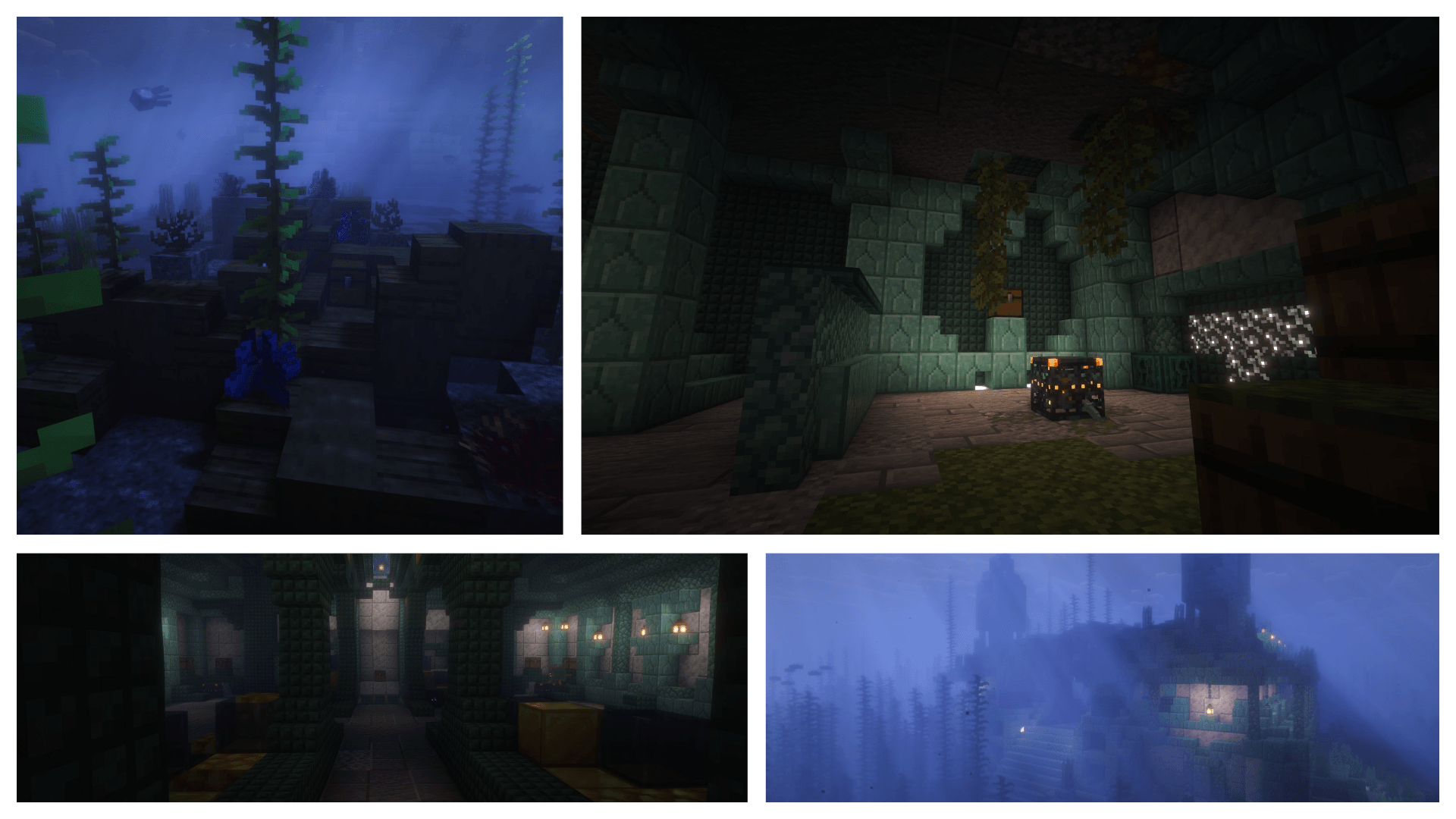 collage (44).png