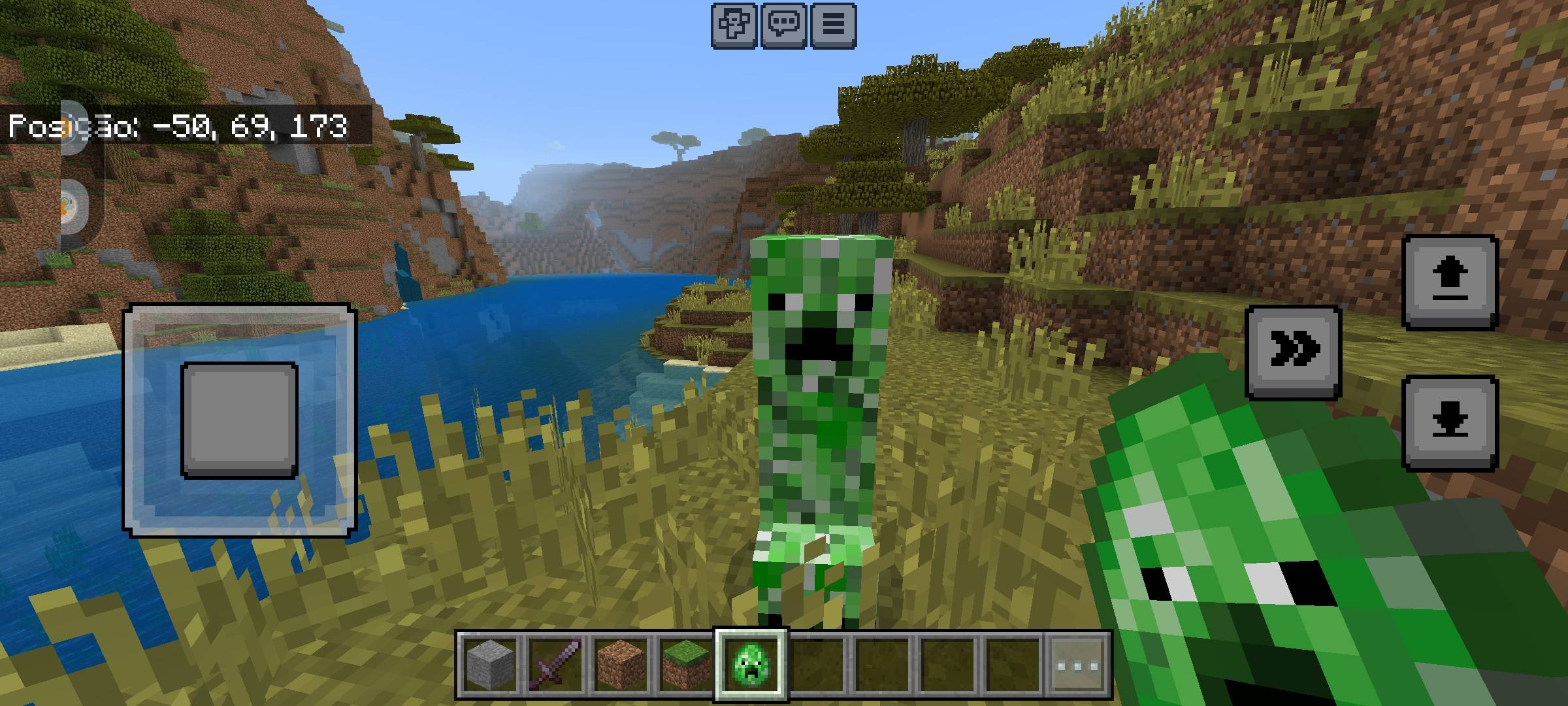 Derped Creeper — screenshot 2