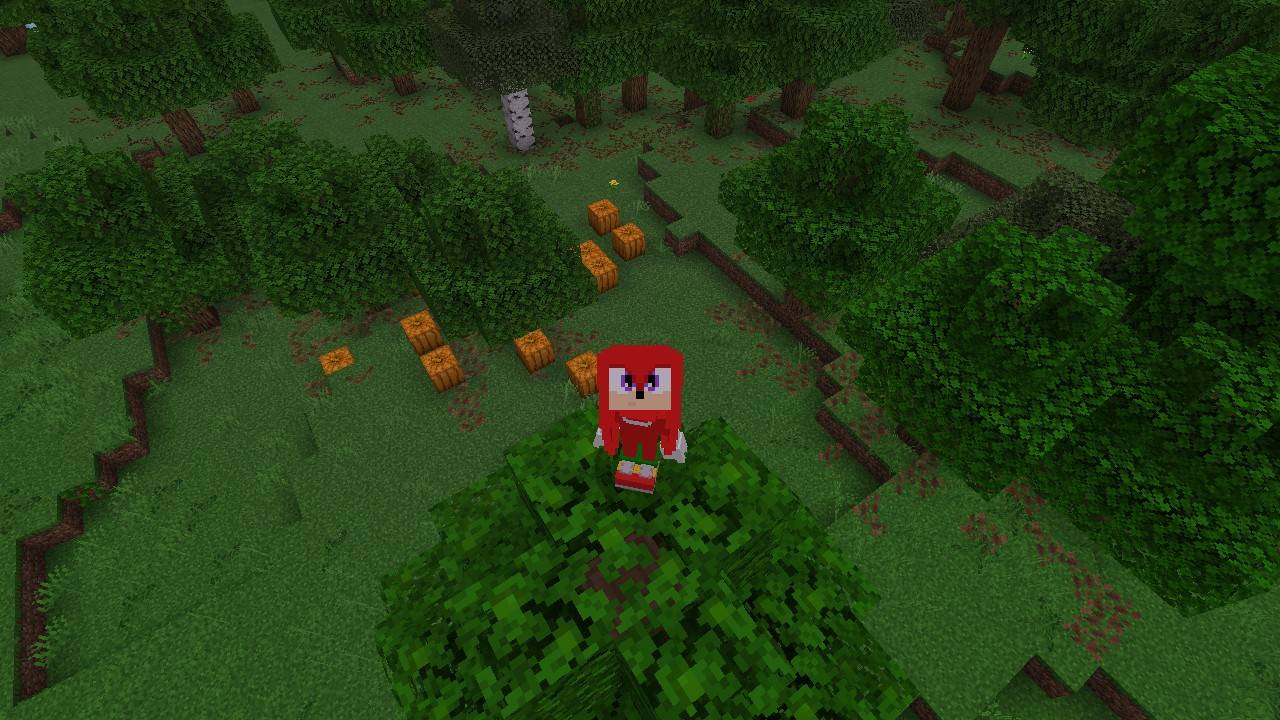 Knuckles the Echidna 4d skin thumbnail 1