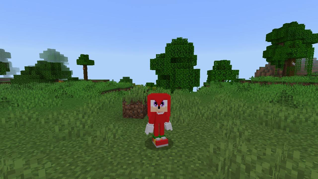 Knuckles the Echidna 4d skin screenshot active