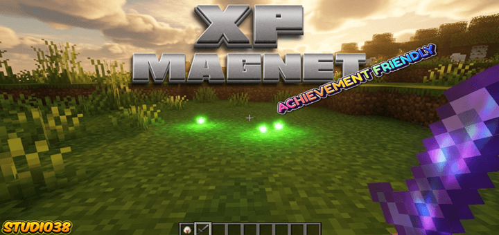XP Magnet 38