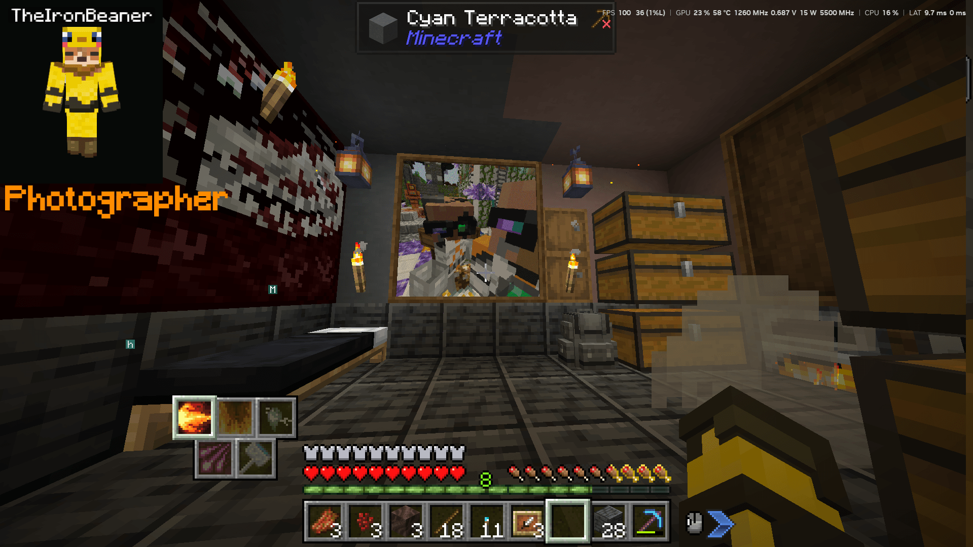Thumbnail TheIronBeaner_photograph_1.png