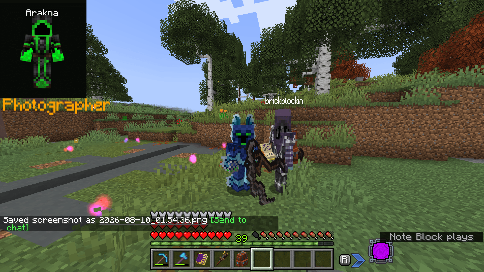 Thumbnail brickblockin_and_arakna_pic_taken.png