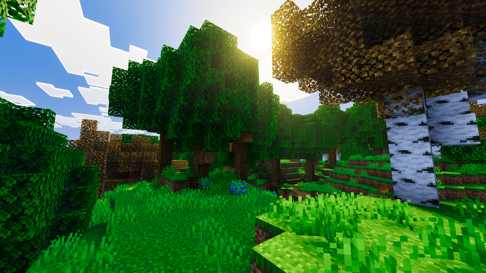 Beyond Visuals thumbnail 5