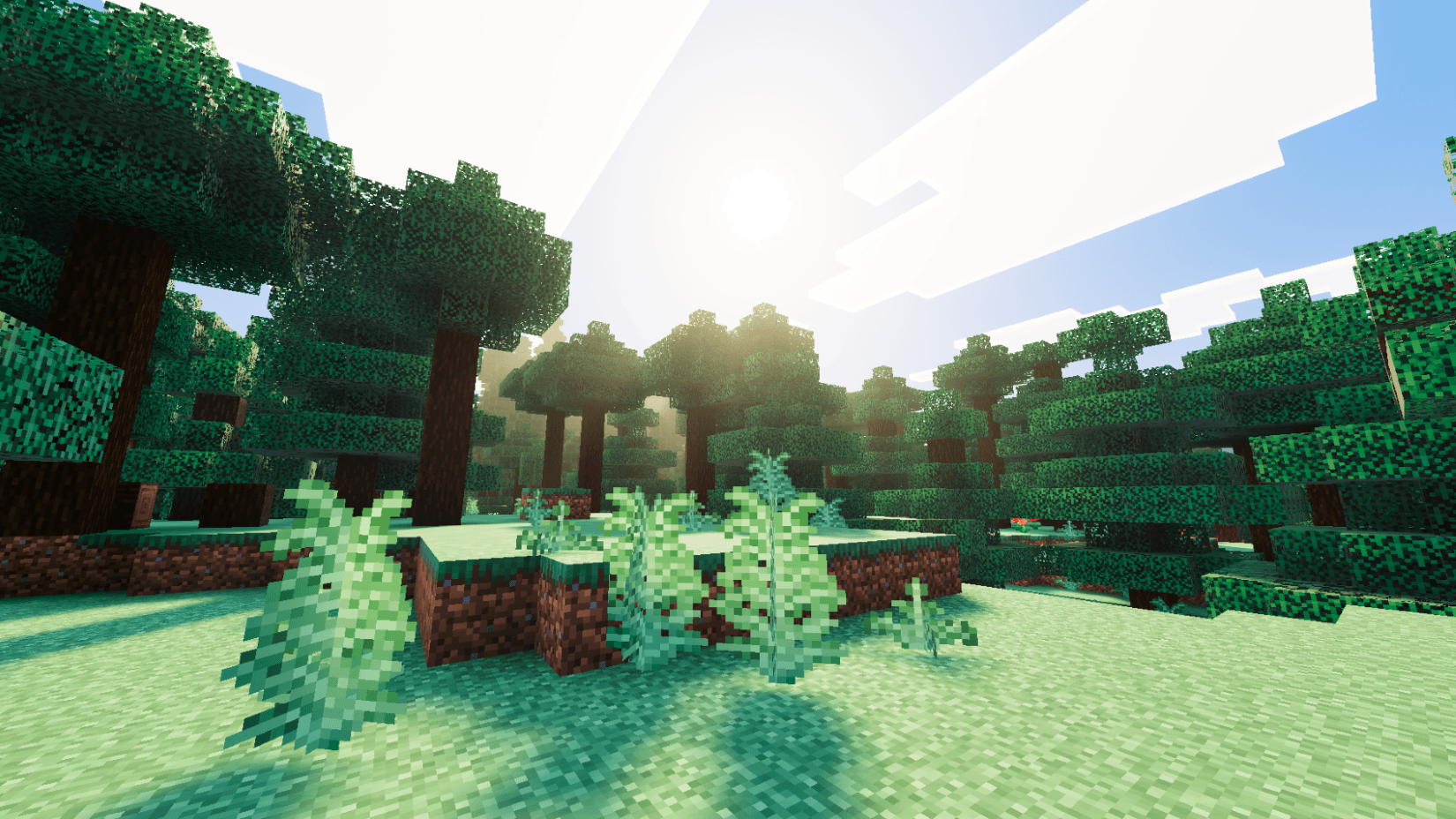 Beyond Visuals thumbnail 3