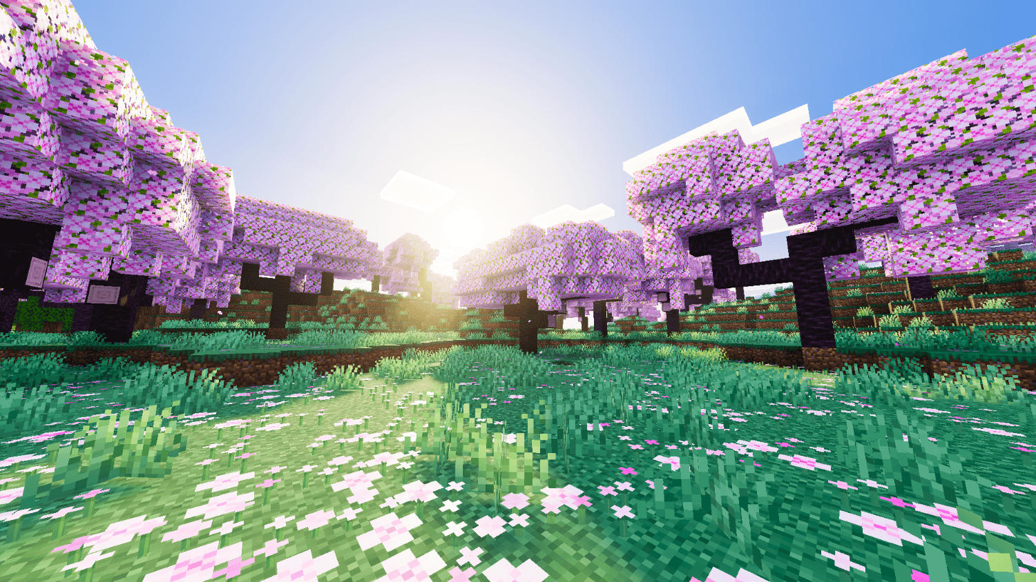 Beyond Visuals thumbnail 1