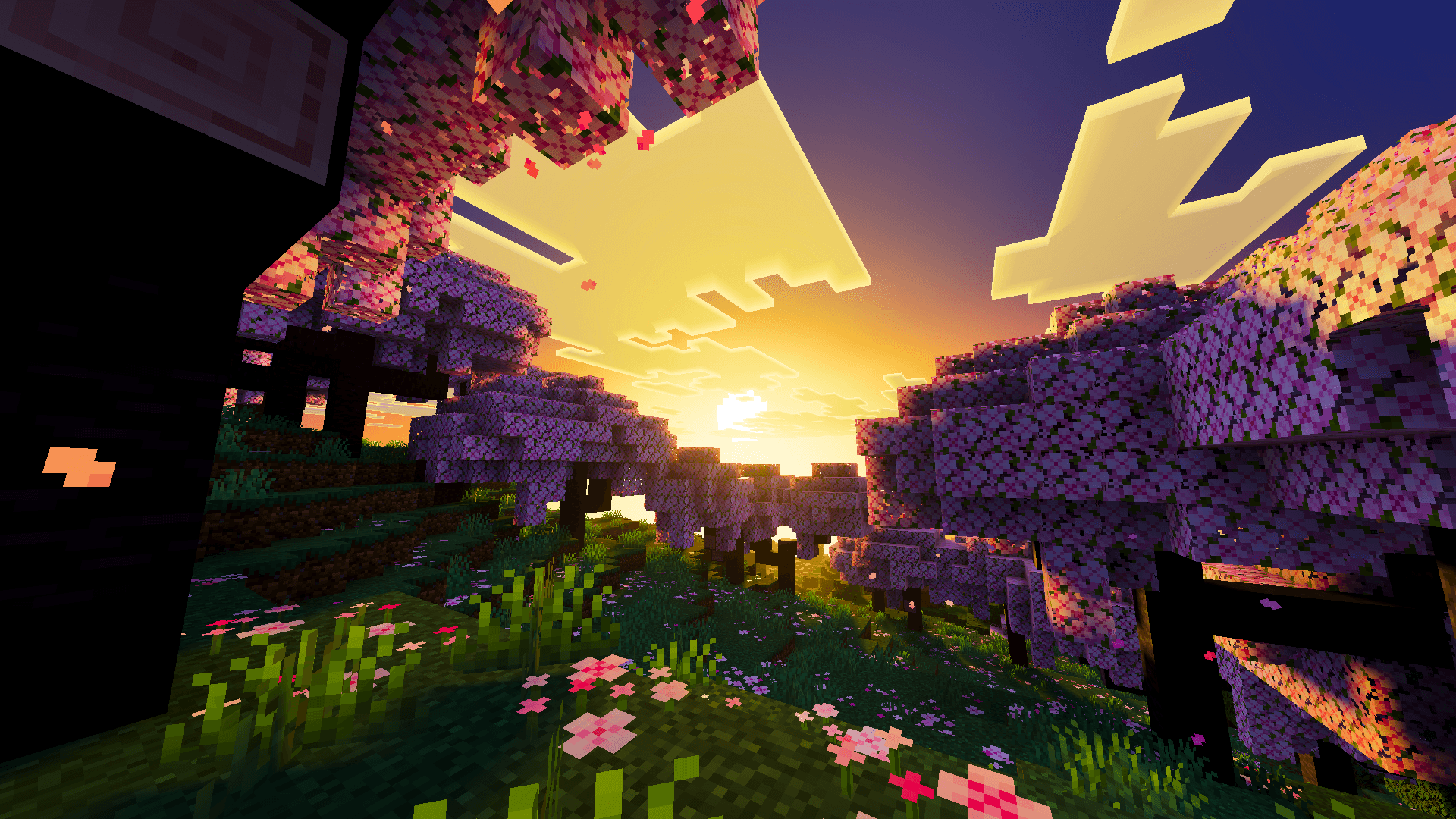 Beyond Visuals thumbnail 4