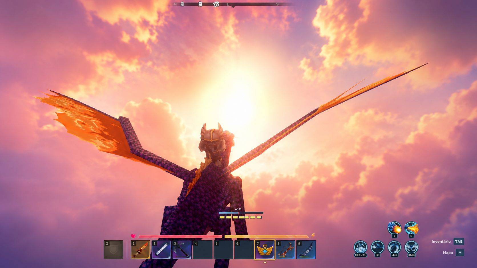 Flying Into the Sunset.jpg