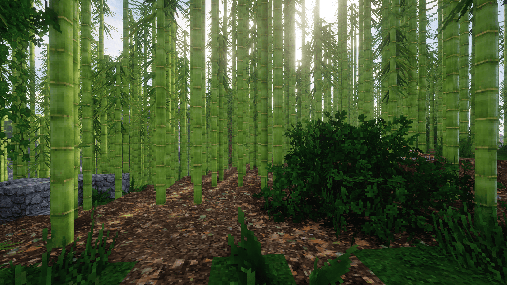 bamboo