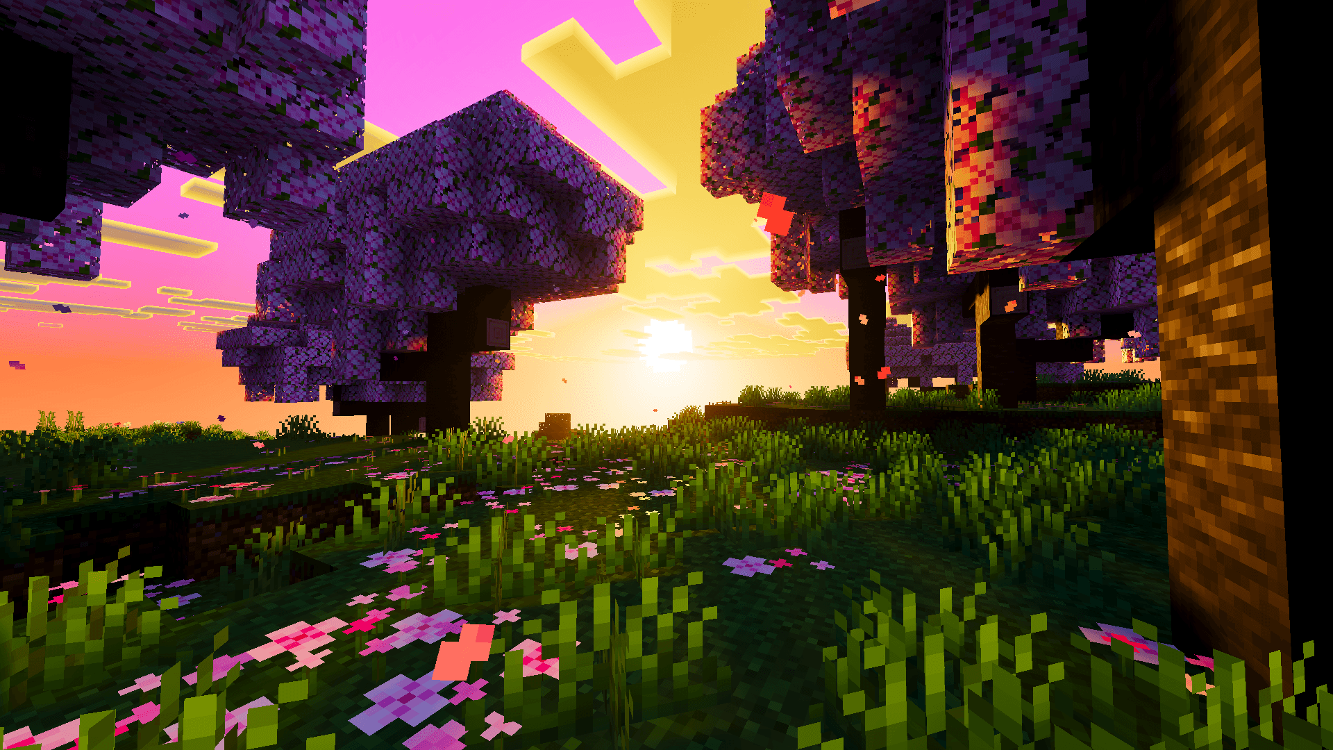 AuraFX  Visuals thumbnail 3