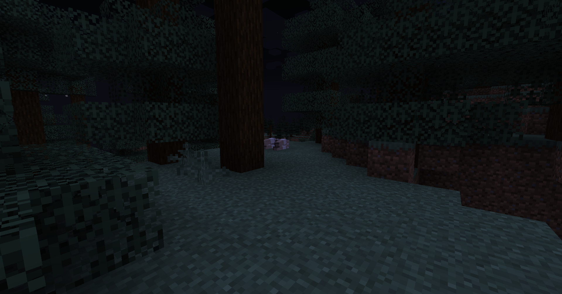 a sheep's carcass...