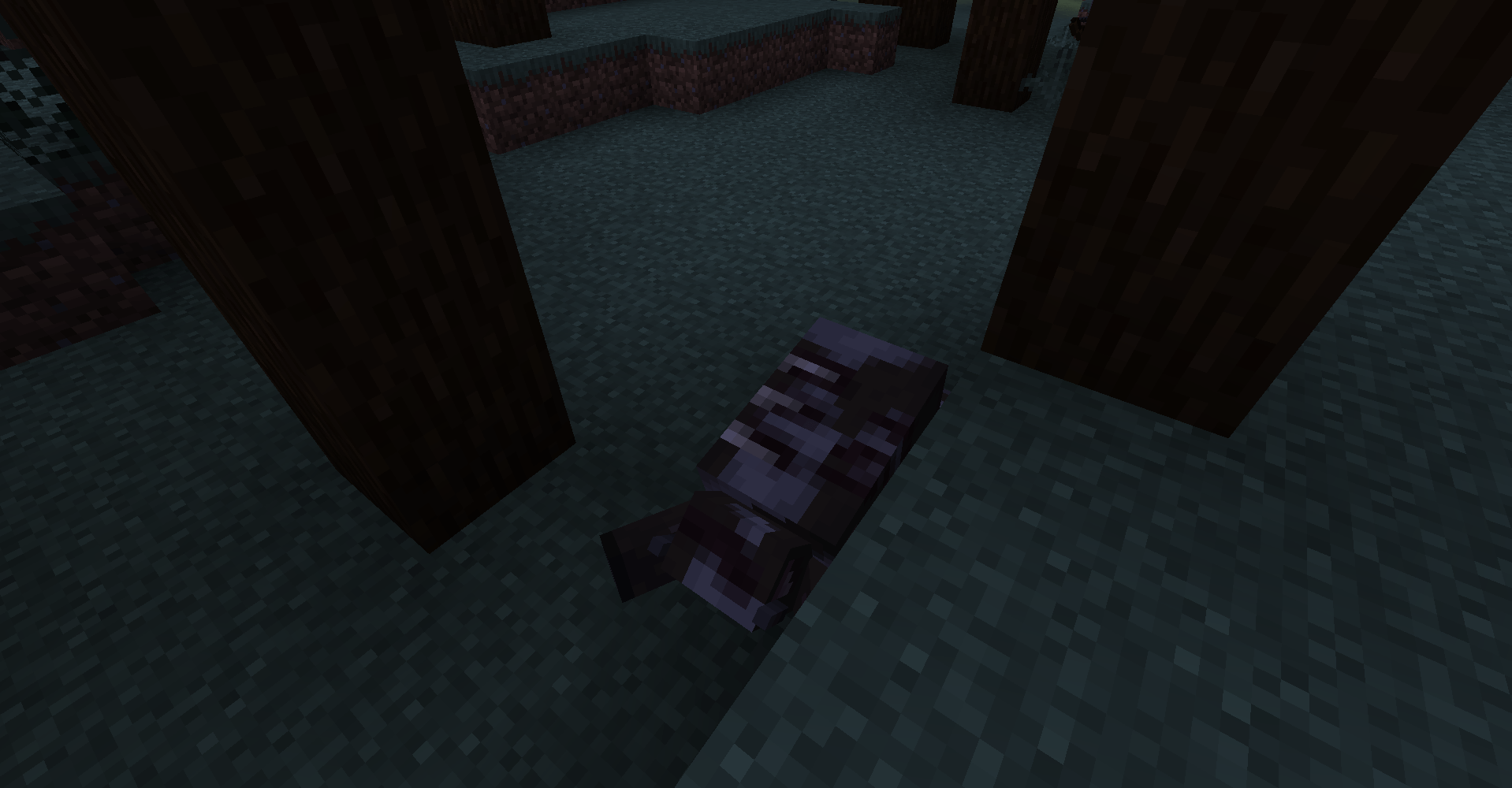 a cow's carcass...